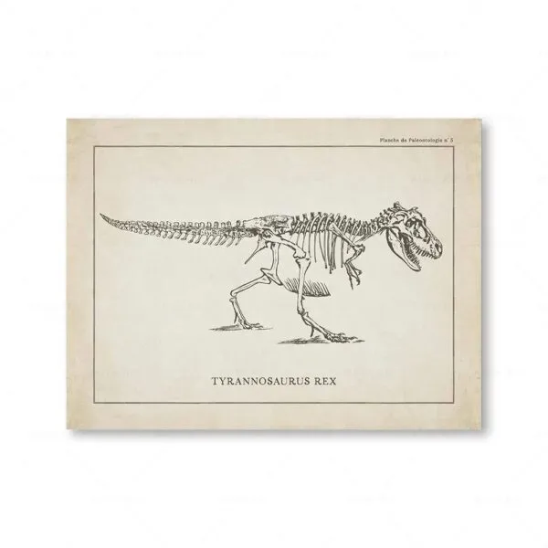 Tyrannosaure Rex, squelette fossile illustré, représentant un dinosaure carnivore préhistorique, exposé dans une planche scientifique ancienne.