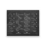 Schéma illustrant la structure de l'ADN et de l'ARN avec molécules et bases nucléiques.