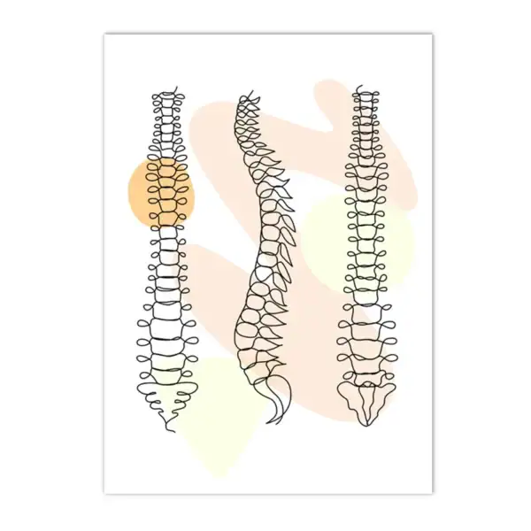 Illustration de trois vértebres en fil de fer, modèle éducatif pour la science et la décoration.