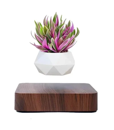 Pot de fleur flottant par lévitation magnétique avec plante décorative.