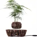 Plante verte en pot décoratif pour intérieur, inspirée par un style scientifique et moderne. Parfait pour ajouter une touche naturelle à votre espace de vie ou de travail.