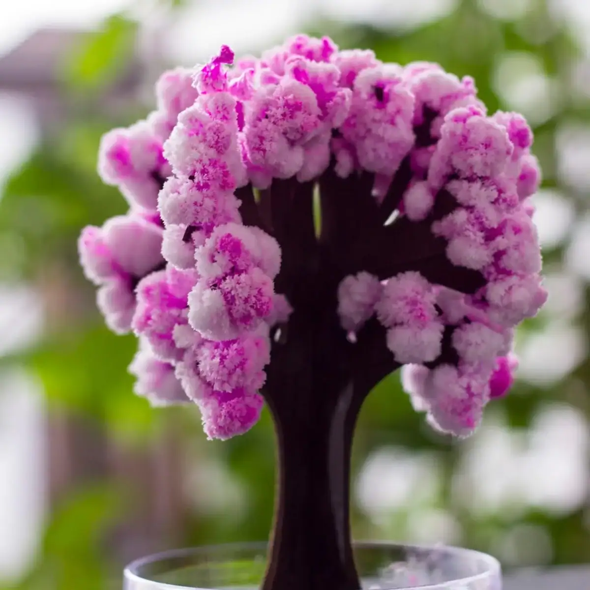 Gros plan sur une fleur de cactus colorée avec des pétales roses et une texture douce, dans un environnement naturel lumineux.
