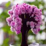Gros plan sur une fleur de cactus colorée avec des pétales roses et une texture douce, dans un environnement naturel lumineux.