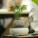 Vase décoratif en forme de spirale avec une plante verte, idéal pour la décoration intérieure scientifique et moderne.