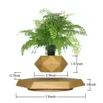 Vase en bois flottant avec plante verte en lévitation, décoration moderne et originale.