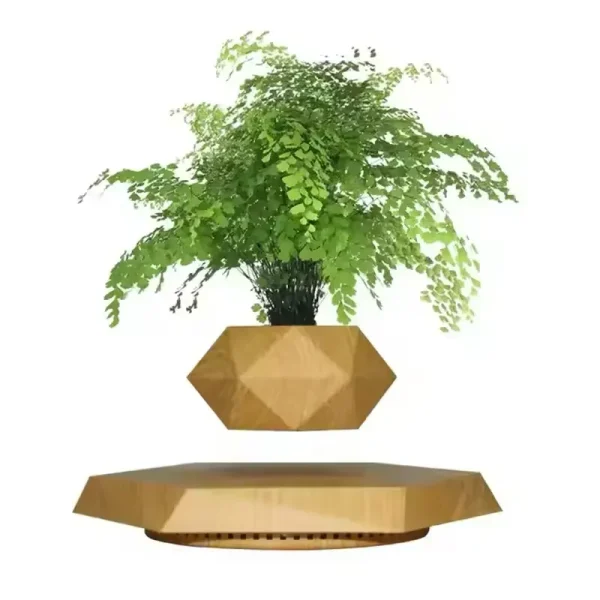 Vase flottant en bois avec plante verte en lévitation, décoration moderne et originale.