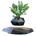 Pot de plante géométrique en céramique noire avec une plante verte, décoration moderne et élégante pour intérieur ou bureau.