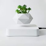 Vase moderne en forme géométrique avec des succulentes vertes, idéal pour la décoration intérieure scientifique et élégante.