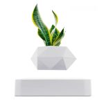 Balcon, intérieur, décoration moderne avec plante verte.