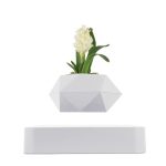 Vase géométrique blanc avec fleur blanche et feuilles vertes, décoration moderne et élégante.