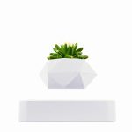 Vase moderne en forme géométrique avec plante succulente verte, parfait pour la décoration intérieure ou de bureau.