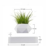 Petite plante verte en pot géométrique blanc, idéale pour la décoration intérieure ou de bureau, apportant une touche de nature moderne.