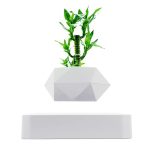 Lampe de bureau moderne en forme de plante verte avec support géométrique blanc, idéale pour une décoration scientifique ou contemporaine.