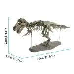 Représentation d'un squelette de T-Rex en ossements fossilisés, mesurant 70 cm de long, 22 cm de haut et 12 cm de large, idéal pour la décoration scientifique.