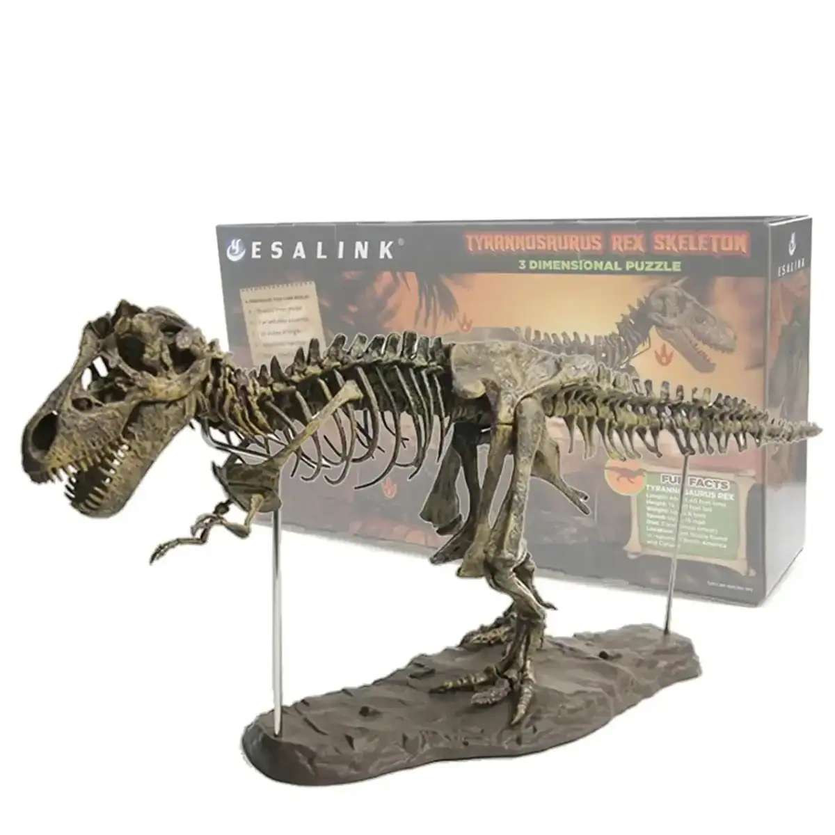 T-Rex en puzzle 3D avec support métallique, modèle de squelette de dinosaure à assembler, parfait pour la décoration scientifique et éducative.