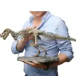 Modèle de squelette de Tyrannosaure rex pour décoration scientifique ou éducative, présenté par un collectionneur ou un musée.
