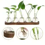 Banc de Stations Bouturage Hydroponique (Lot 2)