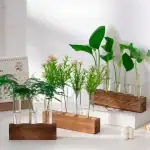 Vases Labo Propagation Verre