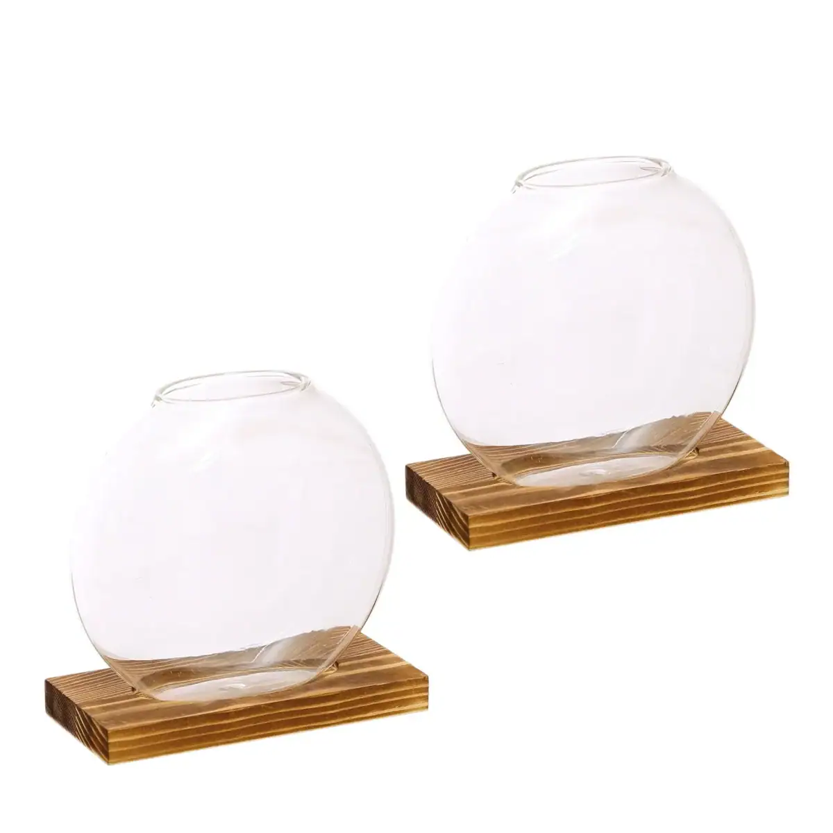 Vase en verre transparent posé sur un socle en bois, idéal pour la décoration scientifique ou moderne.