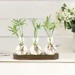 Banc de Stations Bouturage Hydroponique (Lot 2) – Image 18