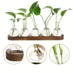 Banc de Stations Bouturage Hydroponique (Lot 2) – Image 15