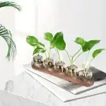 Banc de Stations Bouturage Hydroponique (Lot 2) – Image 10