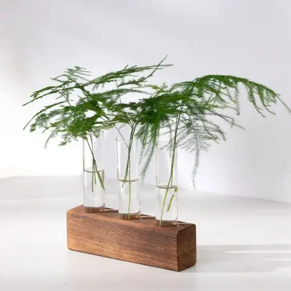 Vases en verre contenant des branches de feuillage vert, disposés sur un socle en bois naturel, décoration élégante et moderne pour intérieur ou bureau.