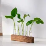 Vases Labo Propagation Verre – Image 5