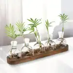 Banc de Stations Bouturage Hydroponique (Lot 2) – Image 5