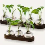 Banc de Stations Bouturage Hydroponique (Lot 2) – Image 9