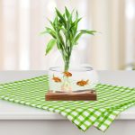 Pot de Fleurs Hydroponique Design Amour – Verre Borosilicate – Image 3