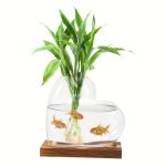 Pot de Fleurs Hydroponique Design Amour – Verre Borosilicate – Image 4