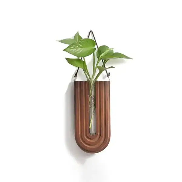 Vase mural en bois avec plante verte suspendue, décoration moderne et naturelle pour intérieur. Idéal pour apporter une touche de verdure et d'élégance à votre espace de vie ou de travail.