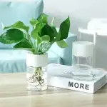 Mini Jardin Hydroponique « Zen-Urbain » – Image 2