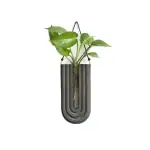Plante verte suspendue dans un vase en forme de tube scientifique, décoration originale pour un intérieur inspiré de la science et de la nature.