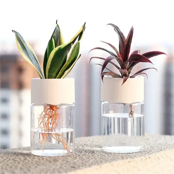 Mini Jardin Hydroponique « Zen-Urbain »