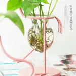Balconnière en verre avec plantes vertes et racines visibles.