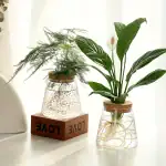 Deux plantes vertes dans des vases en verre avec éléments de décoration scientifique, parfaites pour une décoration intérieure moderne et élégante.