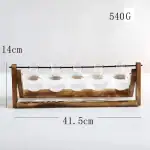 Vases Propagation Évolution Hydro – Image 6