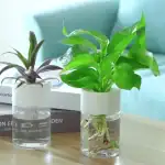 Mini Jardin Hydroponique « Zen-Urbain » – Image 4