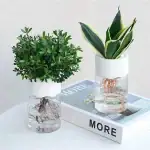 Mini Jardin Hydroponique « Zen-Urbain » – Image 8